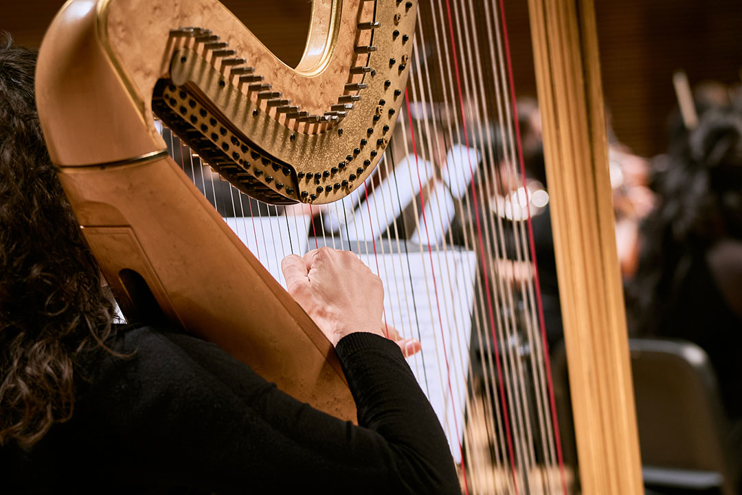 Eloïse Fares de dos jouant de la harpe